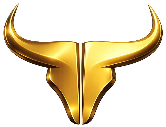 Inception Bulls